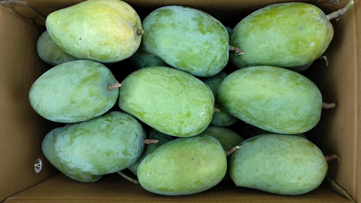 SavyaSaachi gallery image