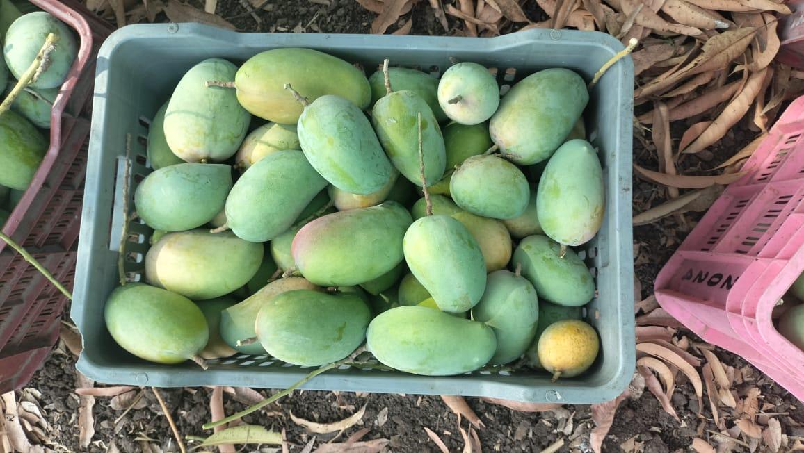 SavyaSaachi gallery image